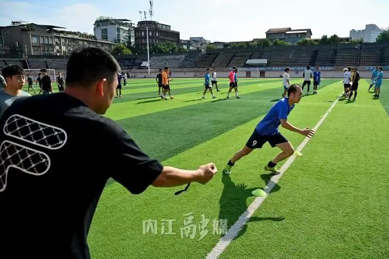 资质的专业