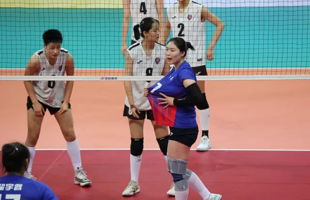 部是意大利, 国新星签约